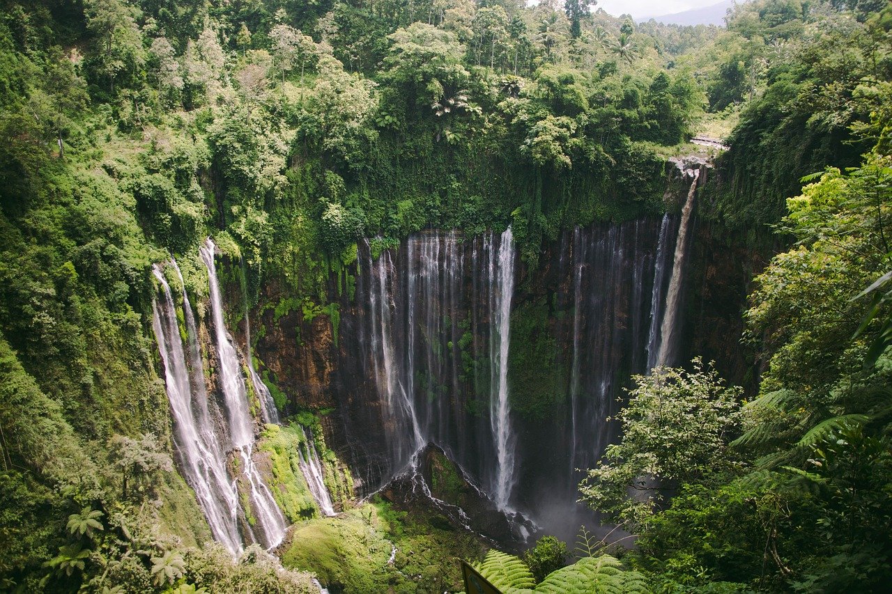 Paket Tumpaksewu